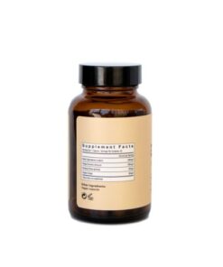 Be Energized (Booster) Mushroom Supplement Capsules