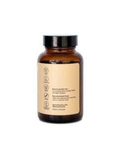Be Energized (Booster) Mushroom Supplement Capsules