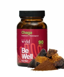 Stay Wyld Organics – Chaga Mushroom Capsules (Bottle of 90)